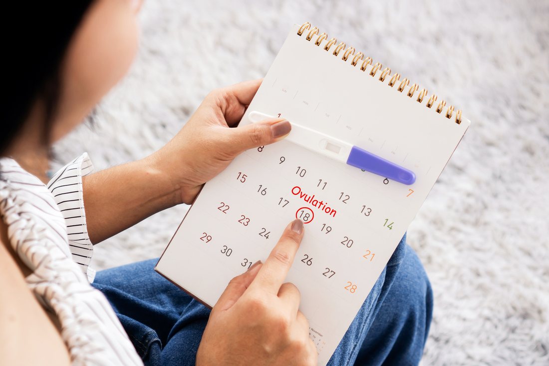 Ovulation day circled on the calendar